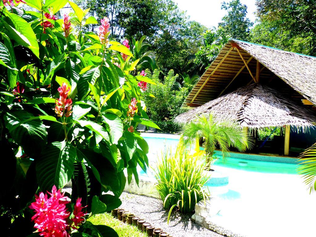 3 Bamboo Eco Lodge กาอุยตา ภายนอก รูปภาพ