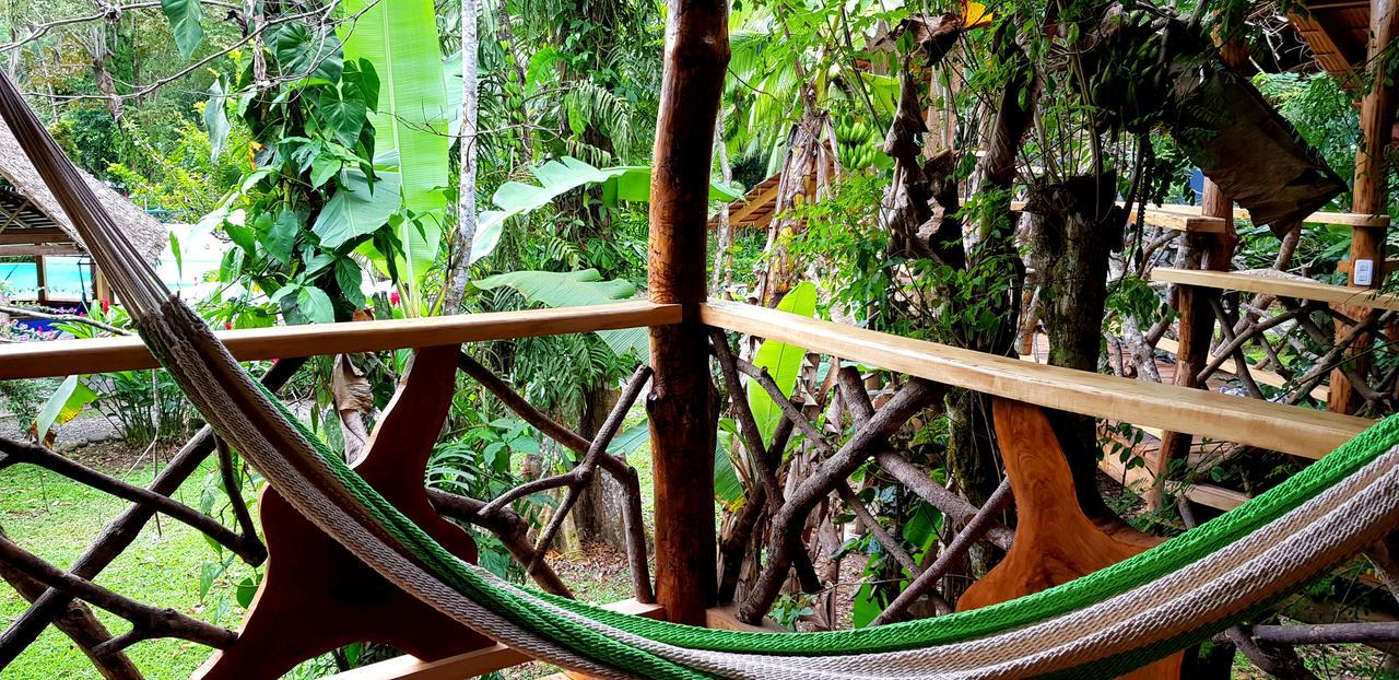 3 Bamboo Eco Lodge กาอุยตา ภายนอก รูปภาพ