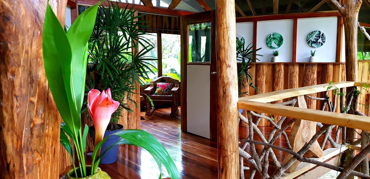 3 Bamboo Eco Lodge กาอุยตา ภายนอก รูปภาพ