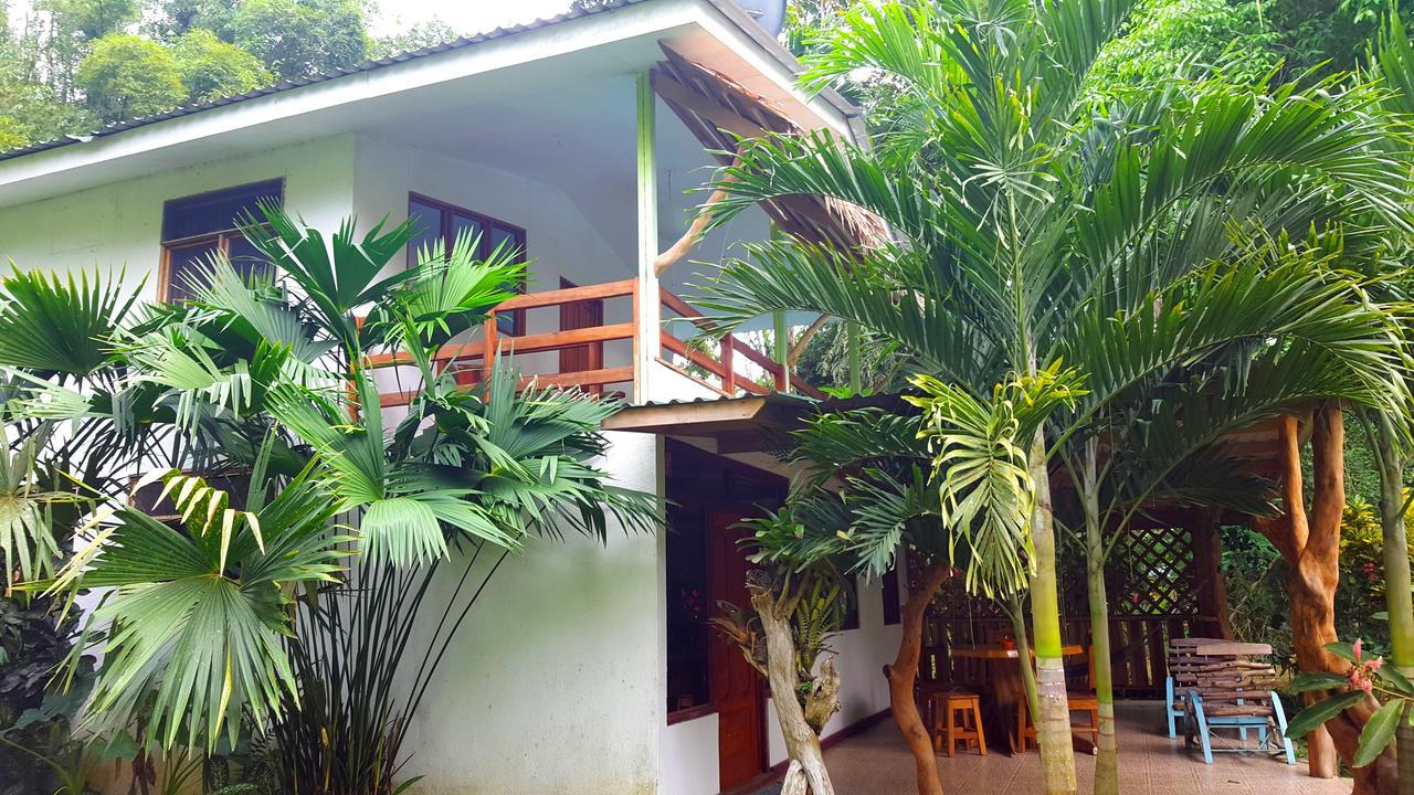 3 Bamboo Eco Lodge กาอุยตา ภายนอก รูปภาพ