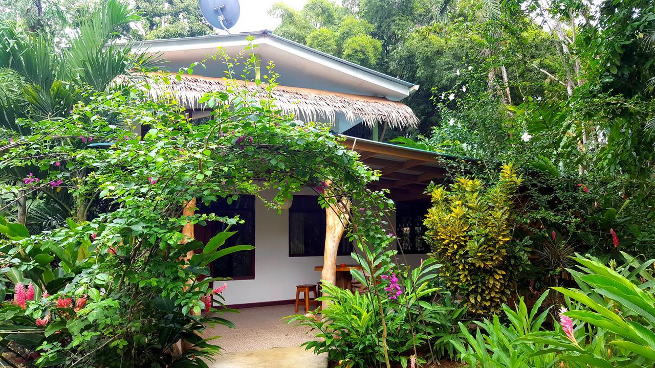 3 Bamboo Eco Lodge กาอุยตา ภายนอก รูปภาพ