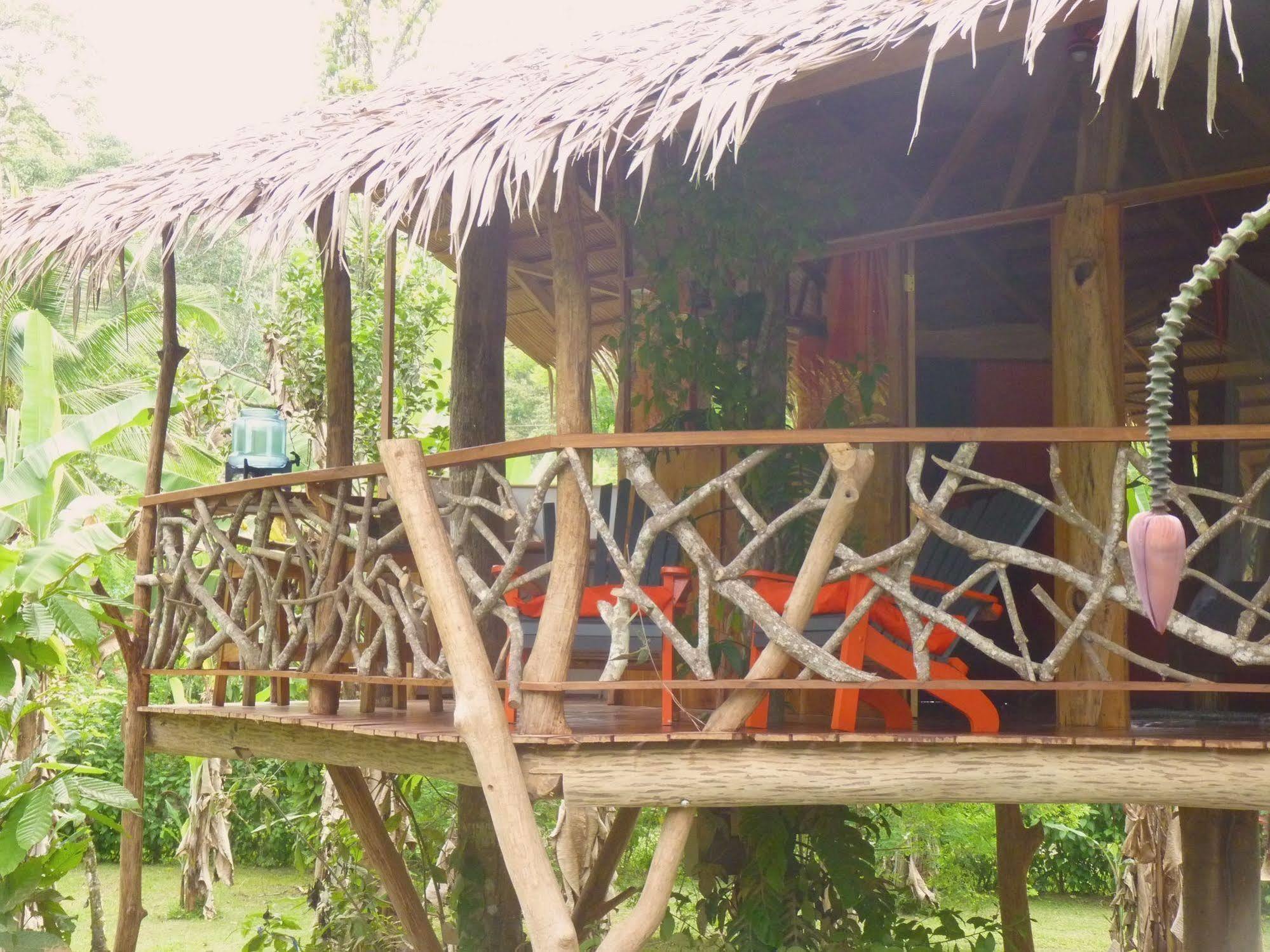 3 Bamboo Eco Lodge กาอุยตา ภายนอก รูปภาพ