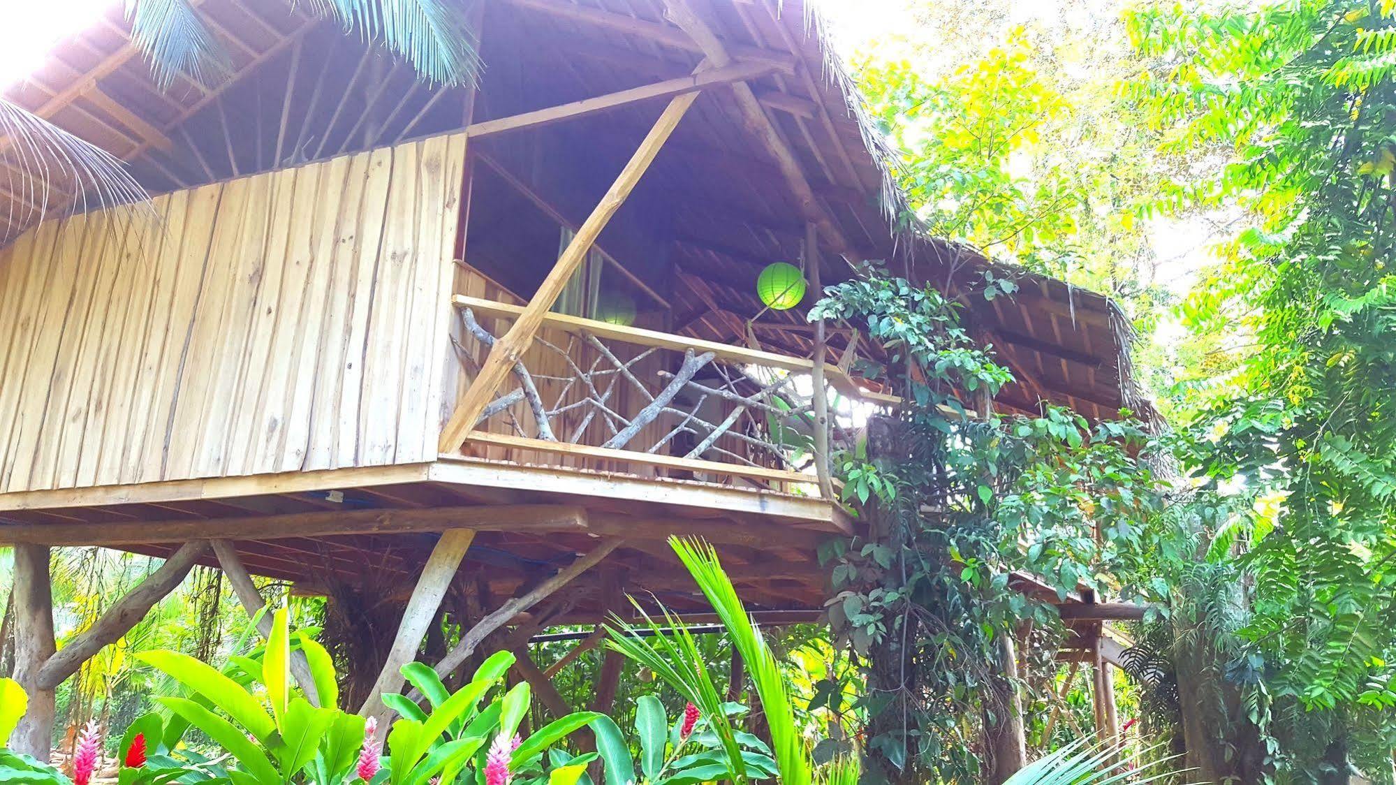 3 Bamboo Eco Lodge กาอุยตา ภายนอก รูปภาพ