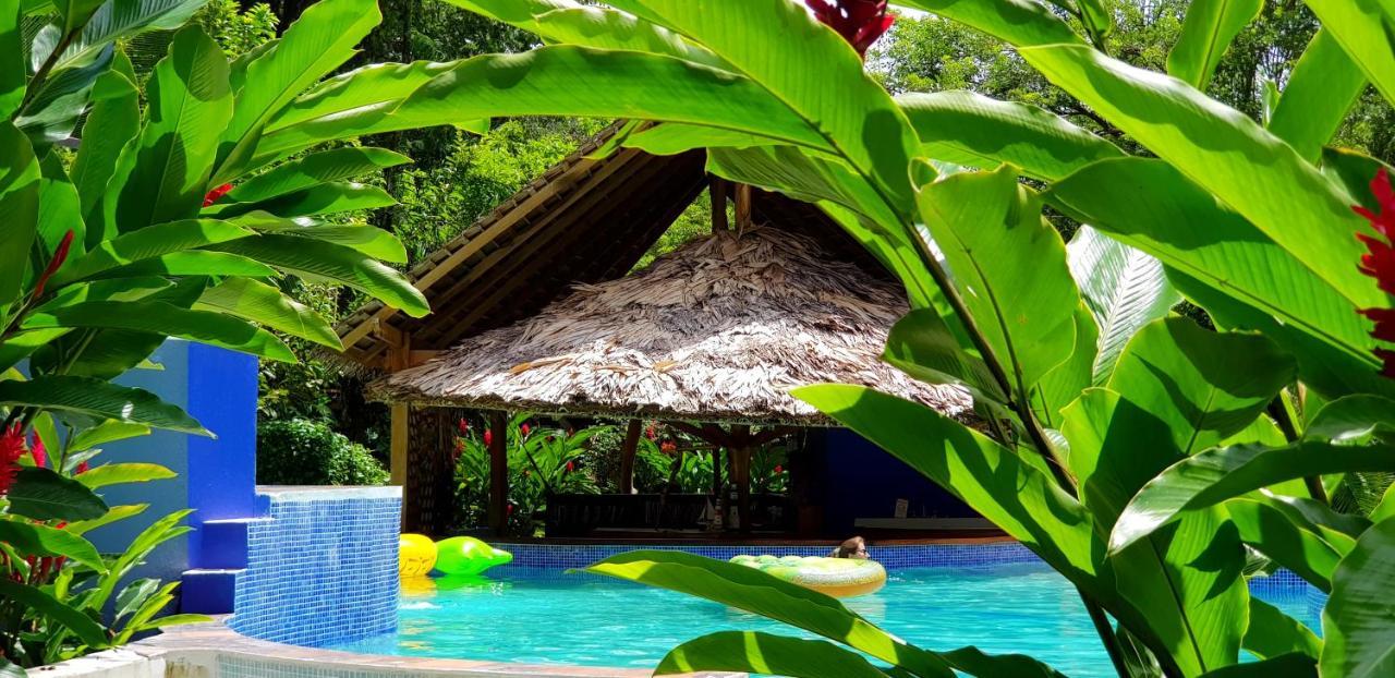 3 Bamboo Eco Lodge กาอุยตา ภายนอก รูปภาพ