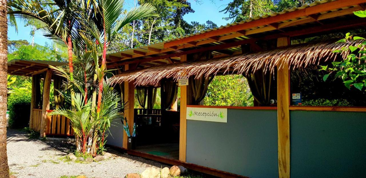 3 Bamboo Eco Lodge กาอุยตา ภายนอก รูปภาพ